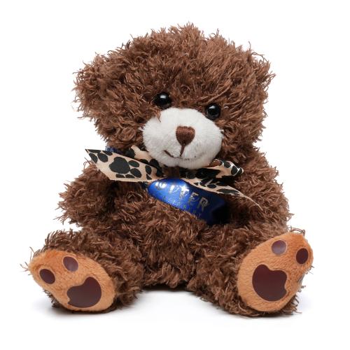 Small Paw Teddy